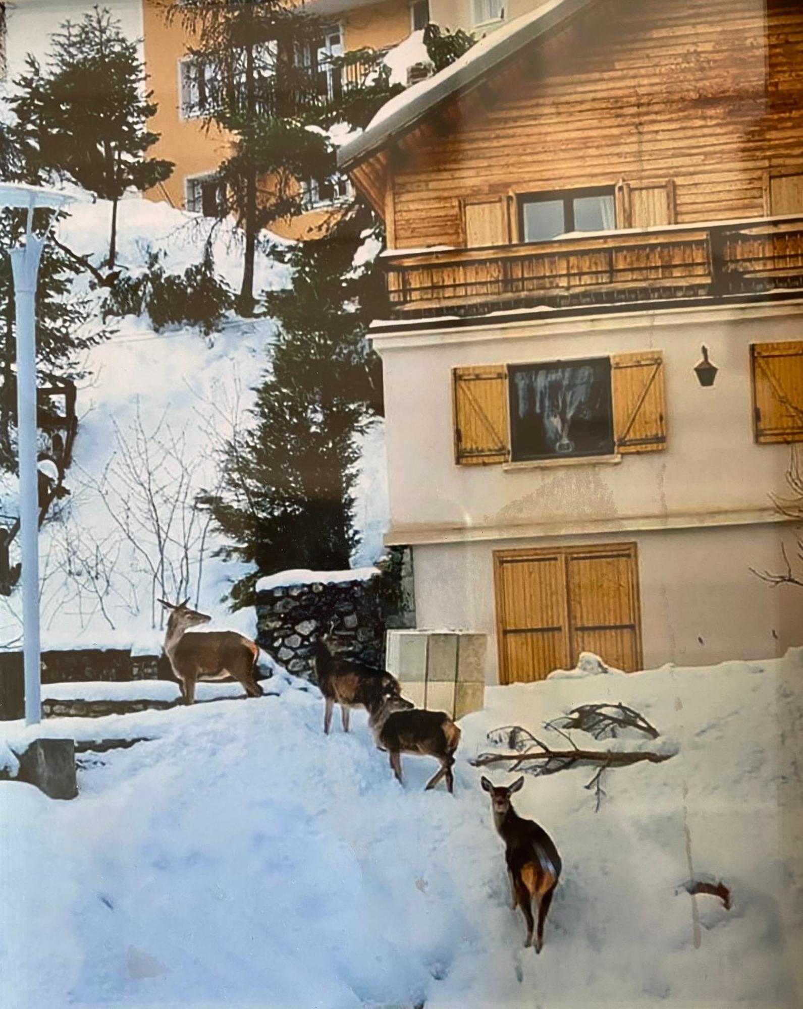 Chalet Familial Auron Eksteriør bilde